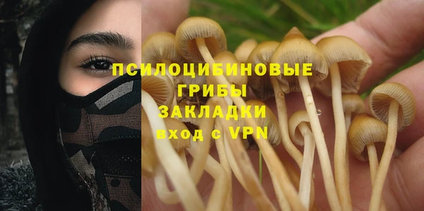 стаф Алексеевка