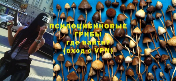 молекула духа Алексин