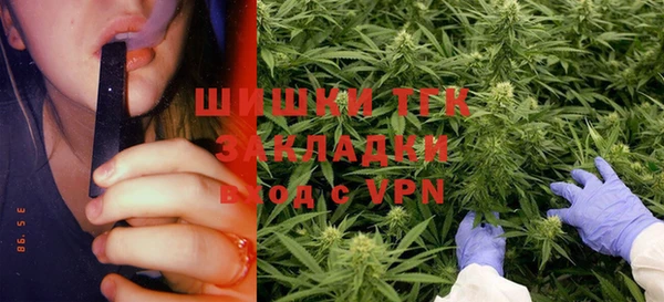 молекула духа Алексин