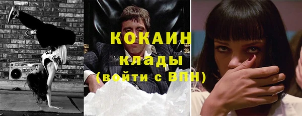 молекула духа Алексин