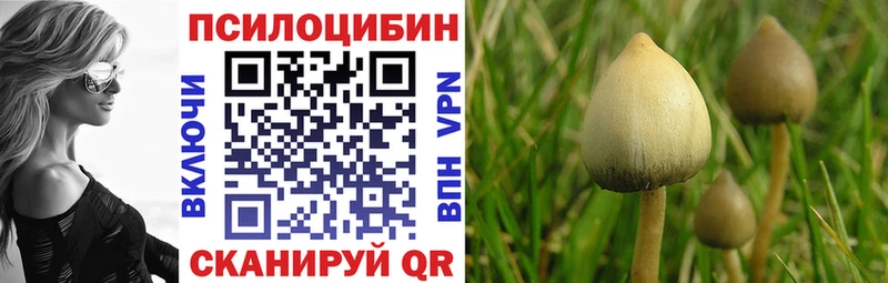 Псилоцибиновые грибы Cubensis  Буй 